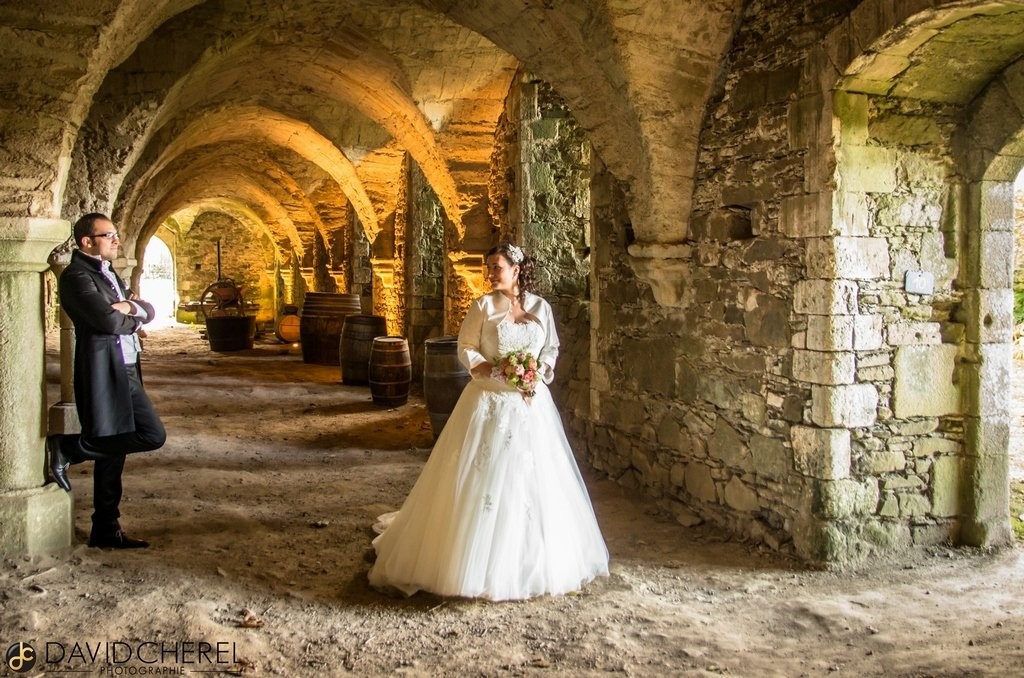 La saison des mariages 2015 vient de se terminer début novembre, cette saison de reportages de mariage en Bretagne m&#8217;aura permis de faire beaucoup de magnifiques rencontres !!! je tiens à remercier l&#8217;ensemble des mariés qui m&#8217;ont fait confiance pour couvrir leur journée, saisir ces si beaux moments fut pour [&hellip;]