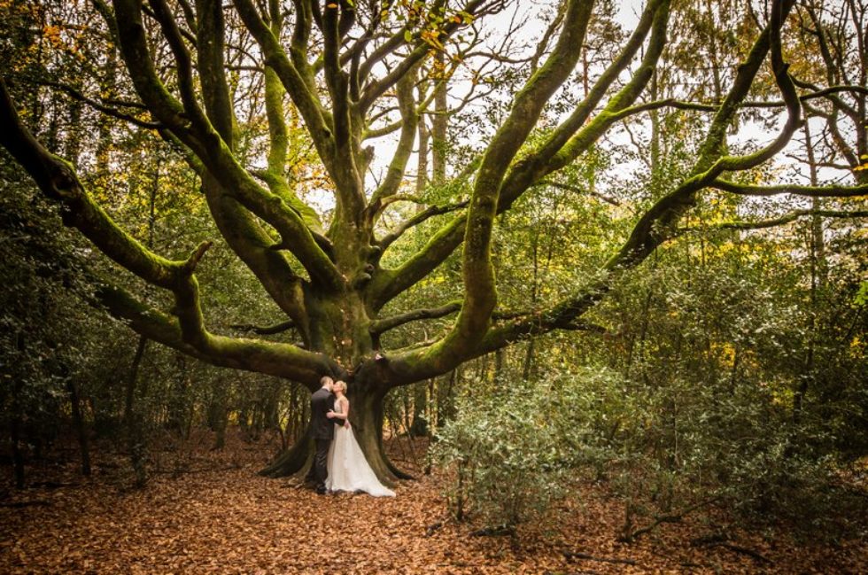 Séance after wedding en forêt de Brocéliande – Bretagne