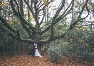 photographe foret couple