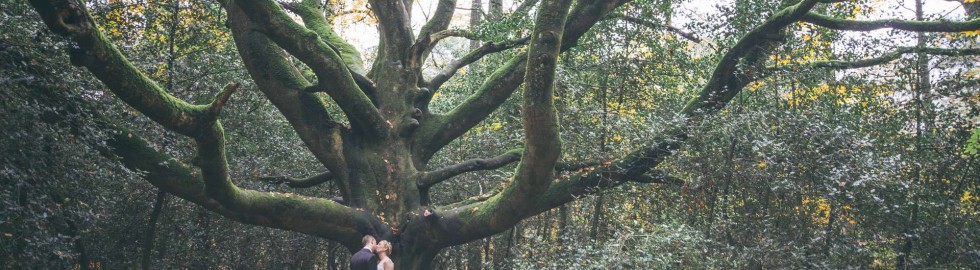 photographe foret couple